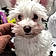 Sully