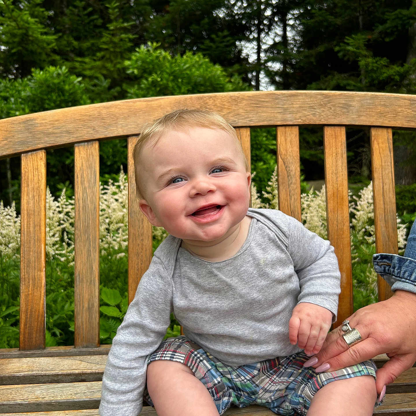 Oliver joined the competition — help win amazing prizes! baby, bench, child, clothing, cute, face, flowers, greenery, hand, happy, long_sleeve, nature, outdoor, person, plaid, portrait, sitting, skin, smiling, wood
