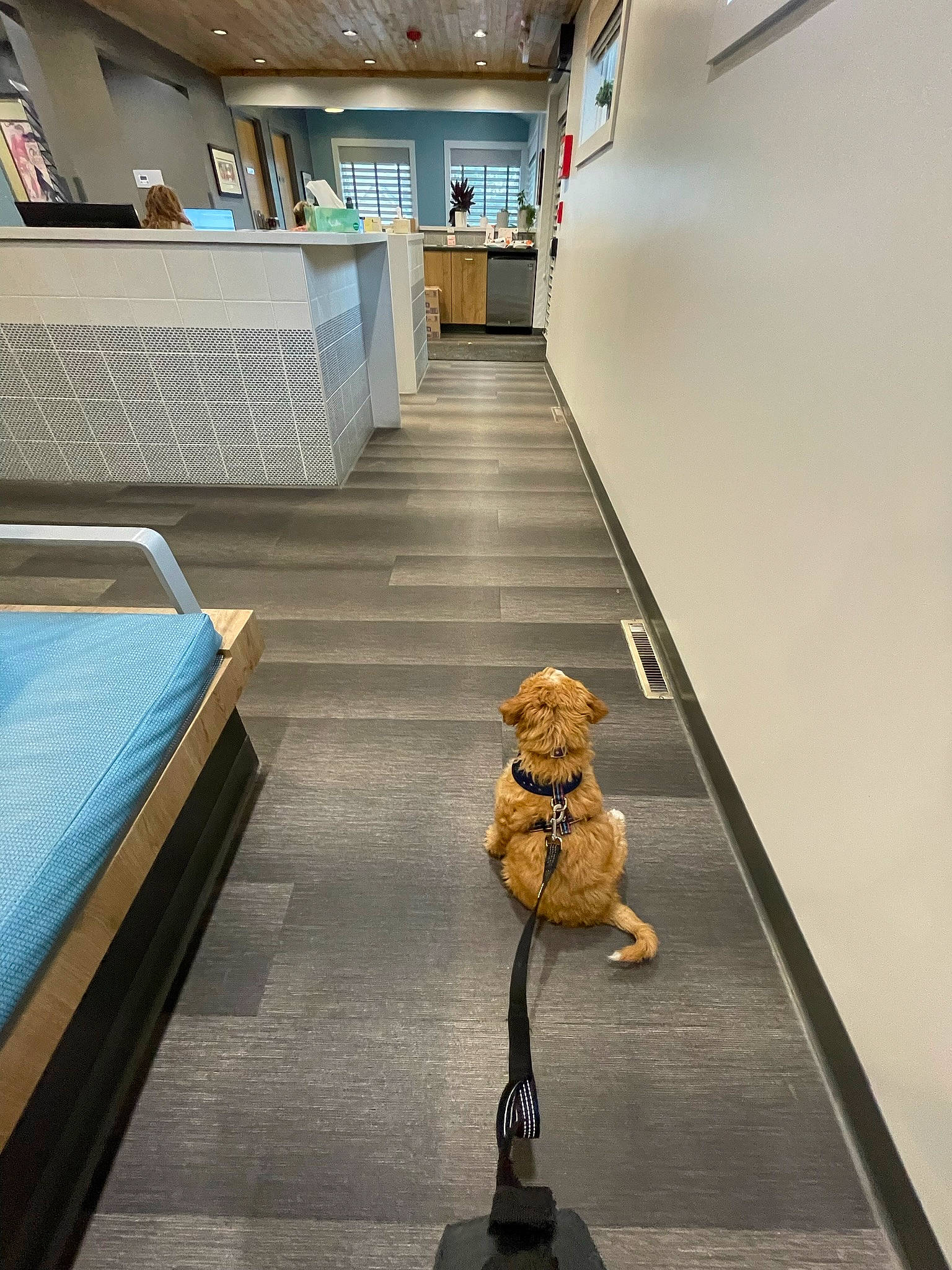 Gibson joined the competition — help win amazing prizes! art, building, carpet, ceiling, display_case, floor, flooring, glass, interior_design, leisure, museum, room, shadow, sitting, stairs, tile, tourist_attraction, toy, visual_arts, wood