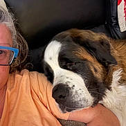 Ruby participe au concours pour gagner de l'argent avec cette photo : person, dog, glasses, couch, arm, resting, sleepy, closeup, indoor, brown, white, black, furniture, face, hair, eyewear, casual_clothing, relaxation, companion, pet