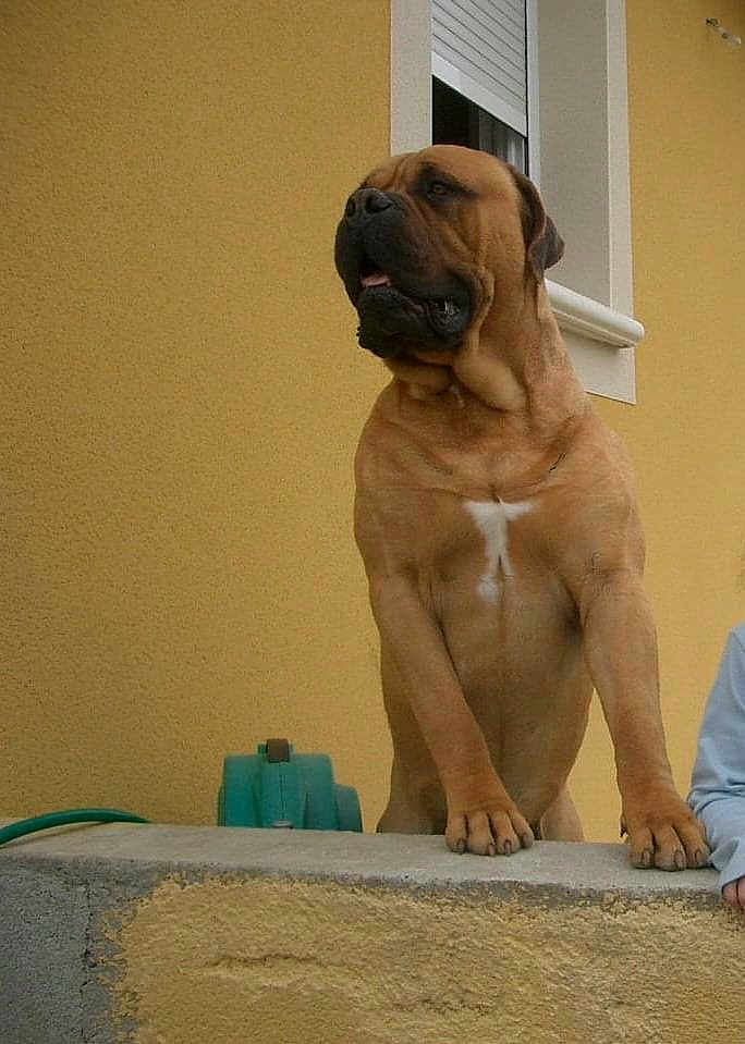 Athos
