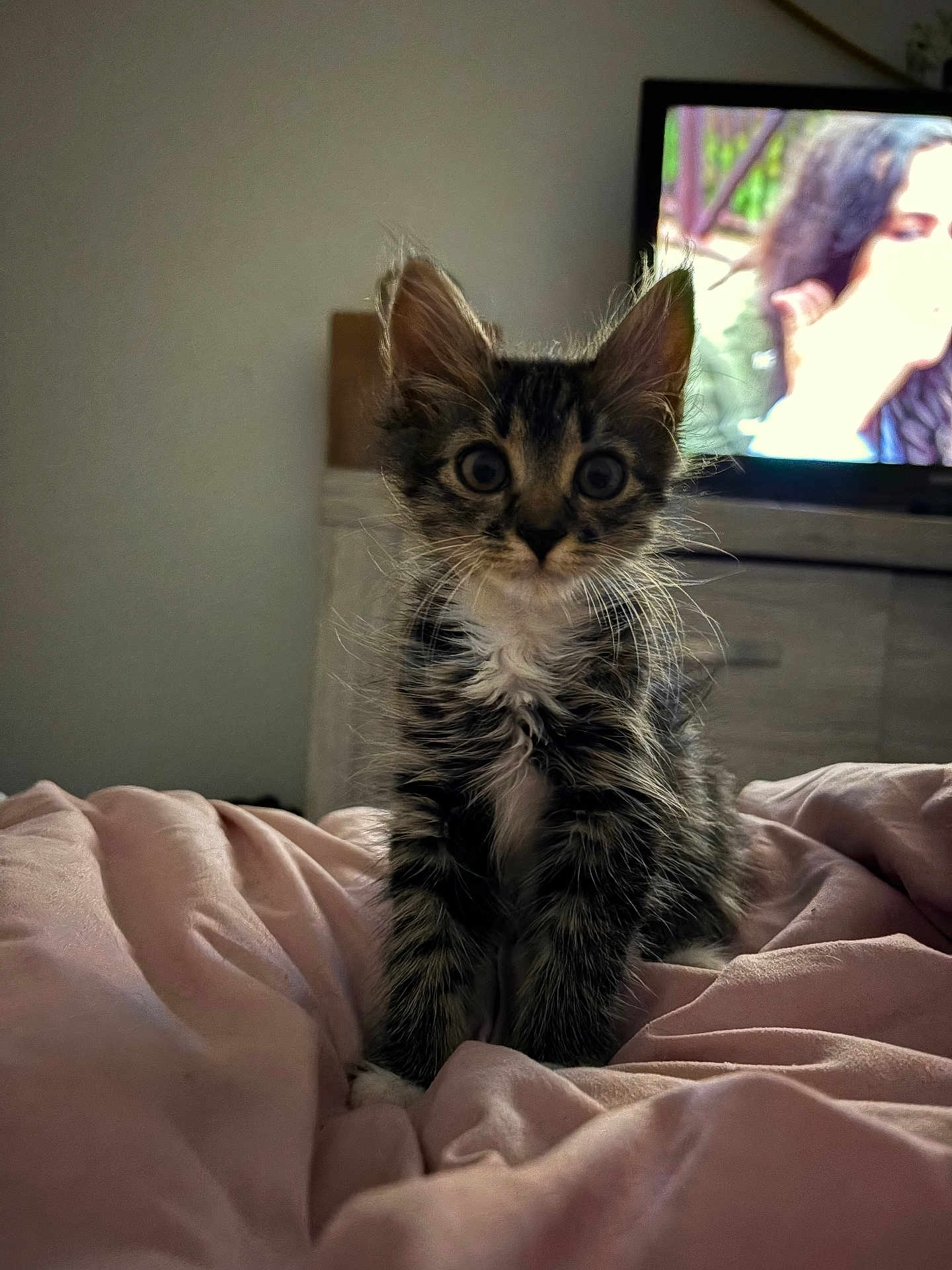 Gizmo