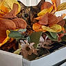 cat, flowers, artificial_flowers, box, indoor, curious, peeking, orange, yellow, green, brown, pet, animal, closeup, feline, leaf, decor, cute, nature, background