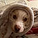 Peaches Hope