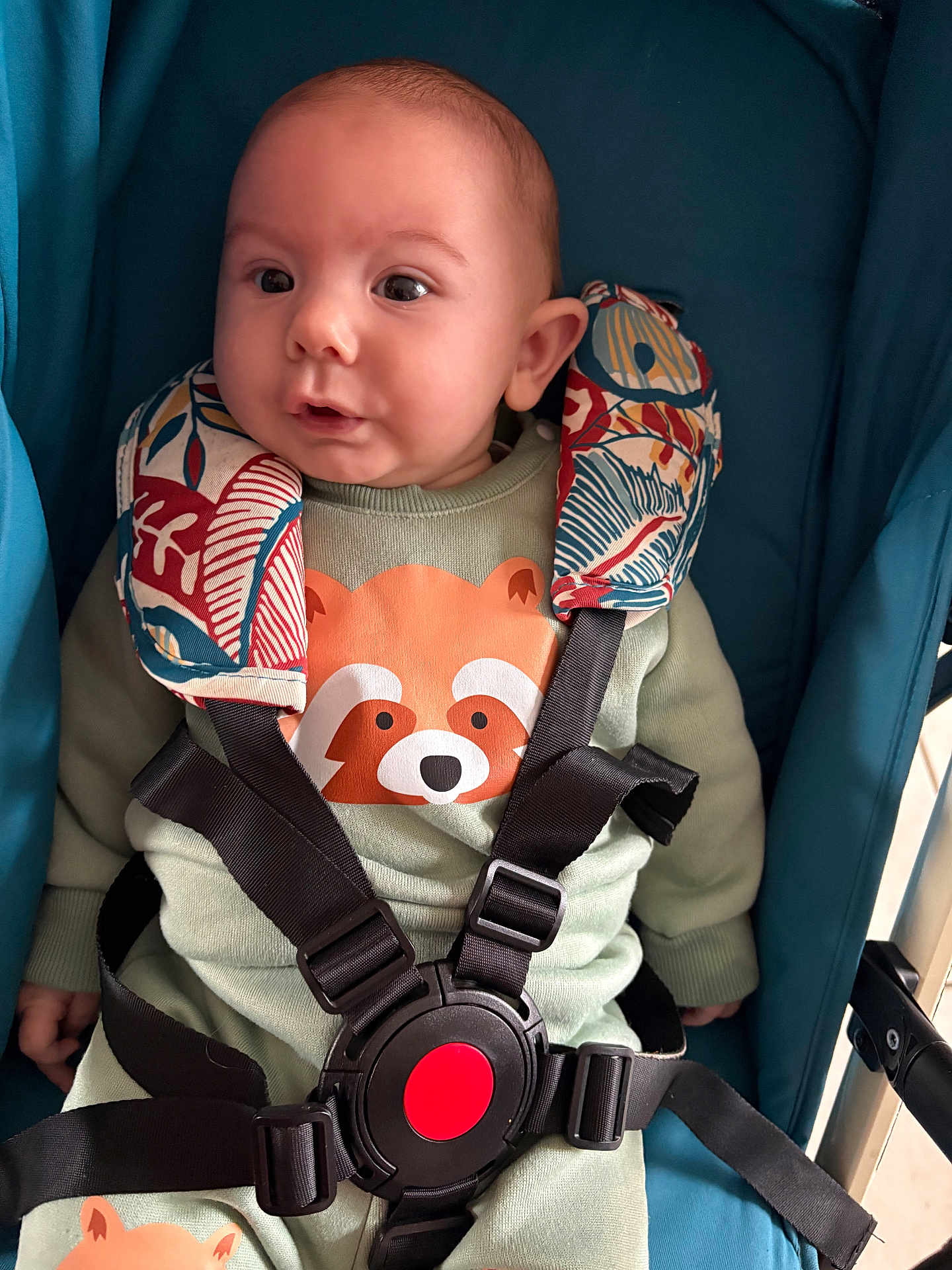 Leo a rejoint le concours — aidez-le/la à gagner de superbes lots ! baby, child, stroller, safety_harness, cute, wide_eyes, smile, infant, clothing, patterned, fabric, blue, red, black, seat, straps, portrait, indoor, person, young