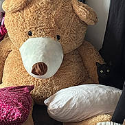 Vassariah participe au concours pour gagner de l'argent avec cette photo : teddy_bear, black_cat, pillow, cushion, stuffed_toy, indoor, plush, soft, furniture, curious, shadows, brown, white, floor, animal, pet, cozy, seated, home, decor