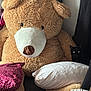 teddy_bear, black_cat, pillow, cushion, stuffed_toy, indoor, plush, soft, furniture, curious, shadows, brown, white, floor, animal, pet, cozy, seated, home, decor