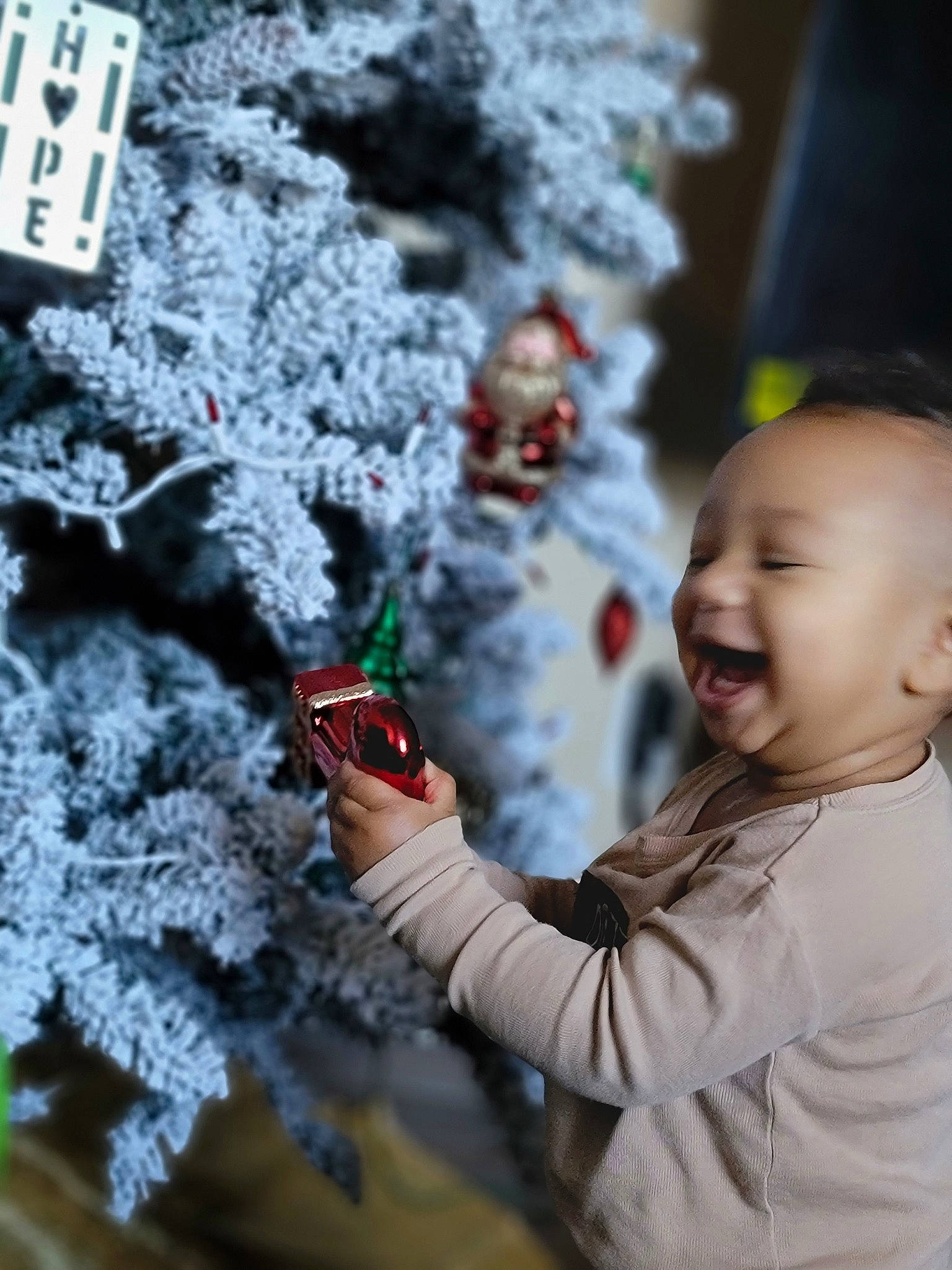 Jaydynn is registered to the contest to win money with this photo: adaptation, branch, christmas_decoration, christmas_ornament, evergreen, fun, happy, holiday_ornament, human, leaf, ornament, people_in_nature, person, photograph, plant, smile, snapshot, toddler, toy, tree