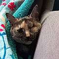 Sophie B.