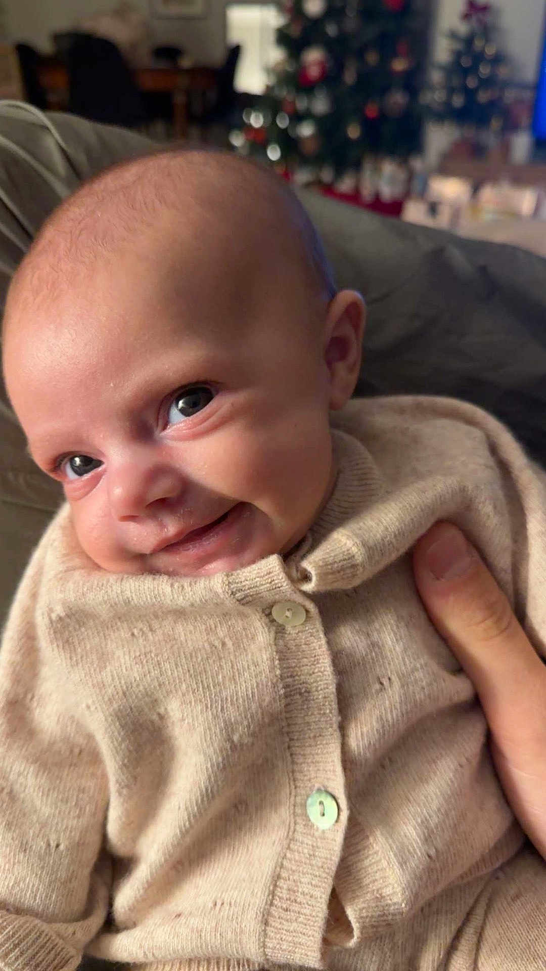 Basilia a rejoint le concours — aidez-le/la à gagner de superbes lots ! baby, beige_clothing, blurred_background, child, christmas_tree, closeup, cozy, cute, eyes, face, hand, holiday_decorations, indoor, infant, knitted_sweater, newborn, person, portrait, smiling, warm