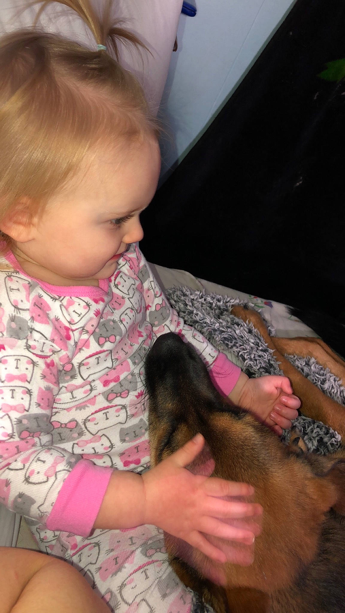 Crowley joined the competition — help win amazing prizes! arm, baby, baby_toddler_clothing, carnivore, comfort, companion_dog, dog_breed, ear, felidae, finger, hand, iris, lap, nail, neck, skin, small_to_medium_sized_cats, toddler, vertebrate, whiskers