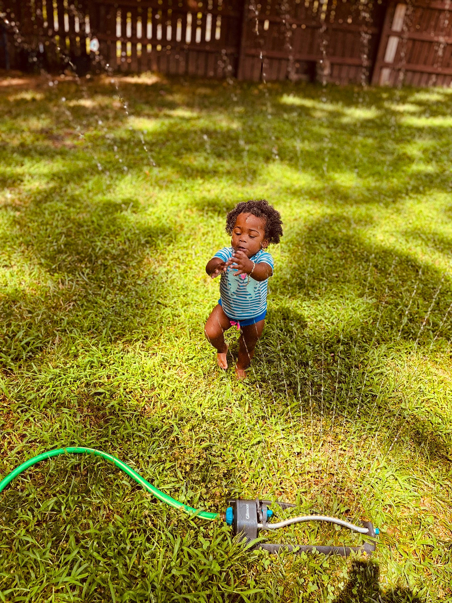Xaya Rose is registered to the contest to win money with this photo: adaptation, baby, baby_toddler_clothing, botany, child, grass, green, groundcover, happy, leaf, light, mammal, nature, people_in_nature, person, photograph, plant, summer, sunlight, toddler