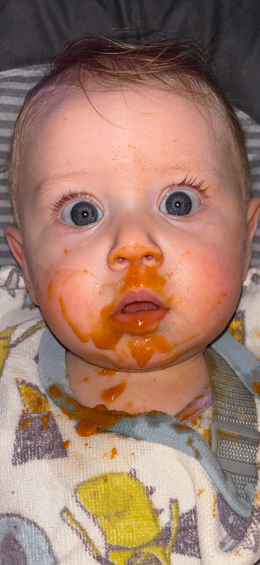 Carina joined the competition — help win amazing prizes! baby, messy_face, blue_eyes, puree, orange_sauce, bib, spilled_food, close_up, surprised_expression, drool, flash_photo, eyelashes, forehead, cheek, nose, mouth, hair, highchair_strap, baby_clothing, portrait
