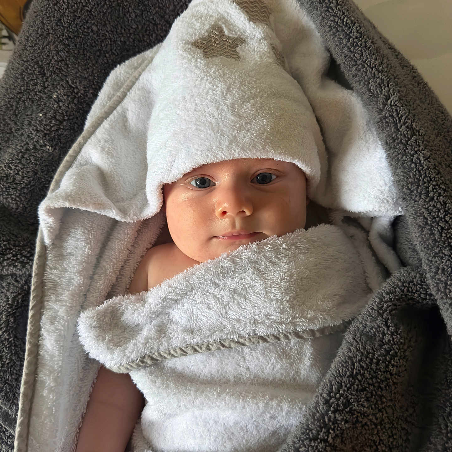 Orlando joined the competition — help win amazing prizes! baby, blanket, child, comfort, cute, expression, face, hand, hooded_towel, indoors, infant, lying_down, newborn, portrait, resting, skin, soft_texture, towel, warm, wrapped