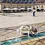 dog, husky, water_fountain, drinking, urban, square, pavement, historic_building, outdoor_cafe, people, bird, sunlight, leash, sidewalk, architecture, daytime, street, walking, city, canine