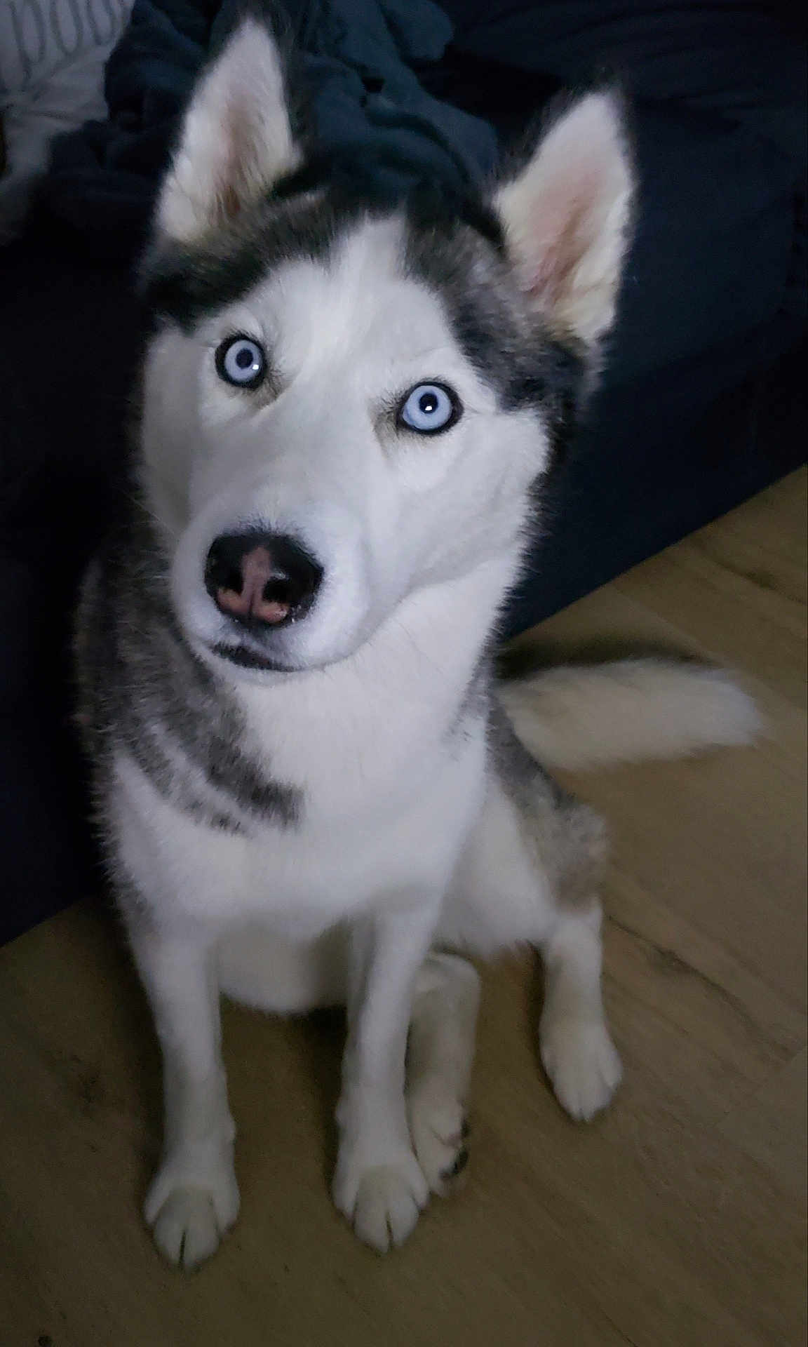 Syska