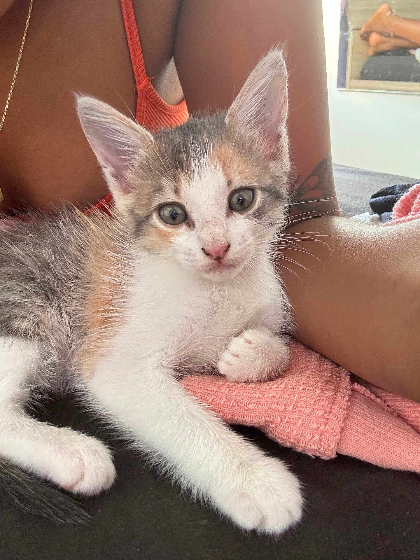 Kynala