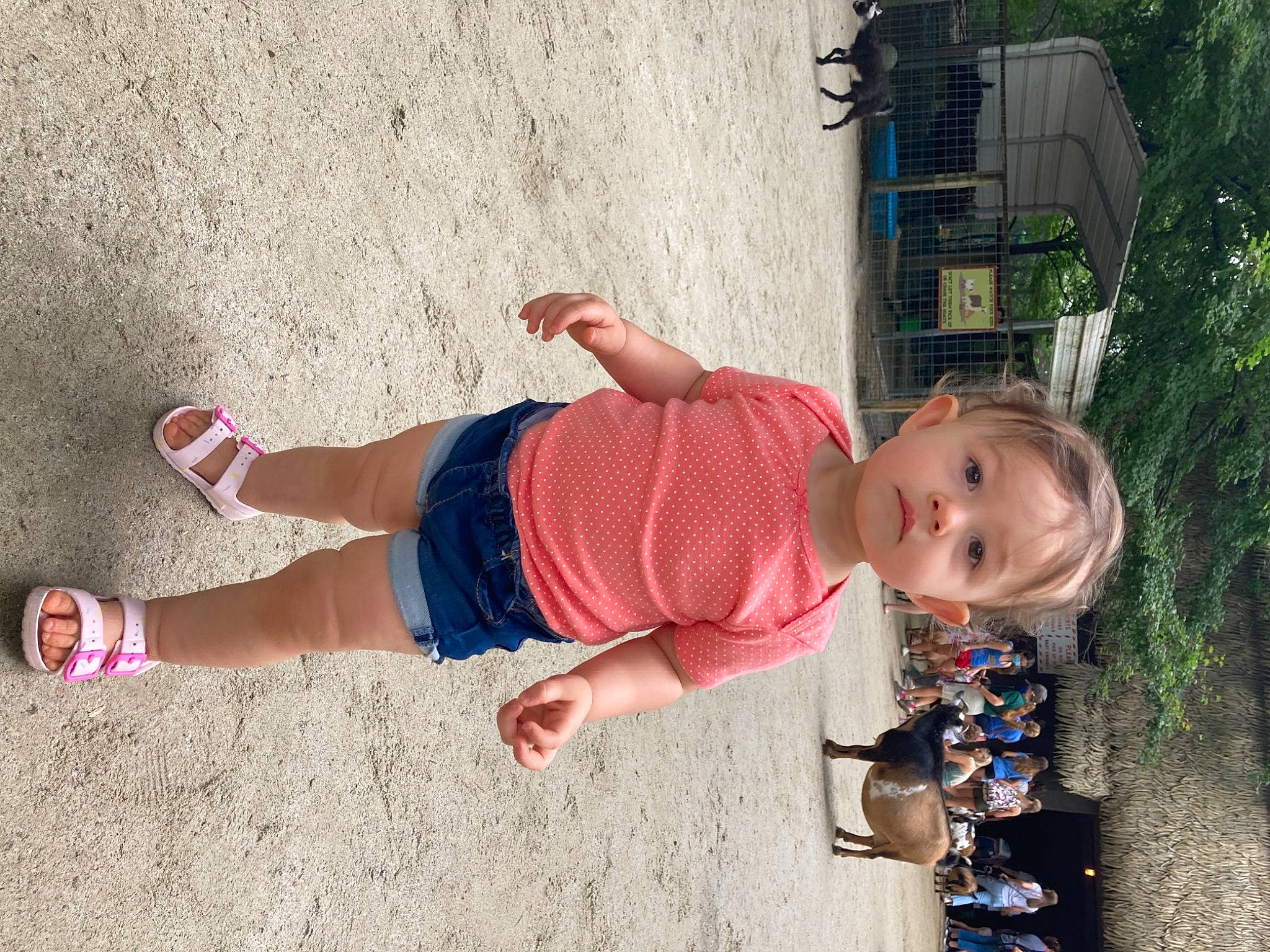 Alia joined the competition — help win amazing prizes! baby, baby_toddler_clothing, child, clothing, foot, fun, happy, human_leg, knee, leg, leisure, people_in_nature, person, plant, recreation, sitting, smile, thigh, toddler, tree