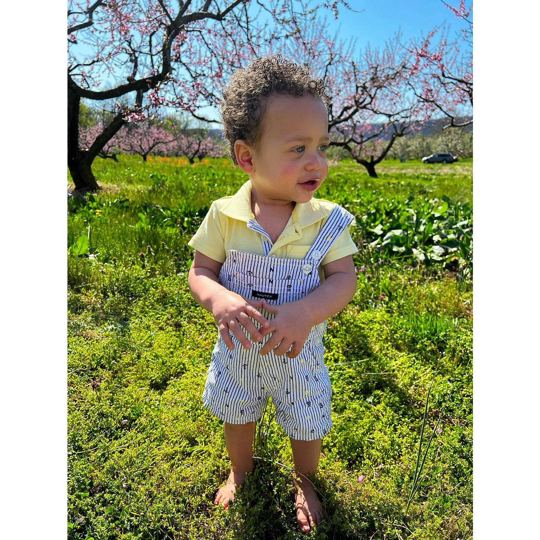 Legend joined the competition — help win amazing prizes! baby_toddler_clothing, electric_blue, grass, grass_family, grassland, groundcover, happy, leaf, meadow, pattern, people_in_nature, person, plant, prairie, sitting, sky, sleeve, summer, t_shirt, toddler