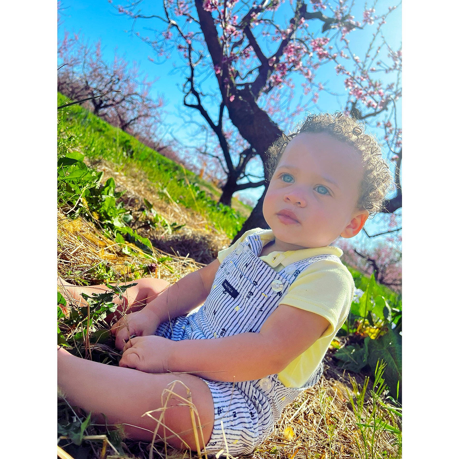 Legend joined the competition — help win amazing prizes! baby, baby_toddler_clothing, electric_blue, grass, grassland, happy, landscape, meadow, pattern, people_in_nature, person, plant, portrait_photography, prairie, sitting, sky, sleeve, t_shirt, toddler, tree