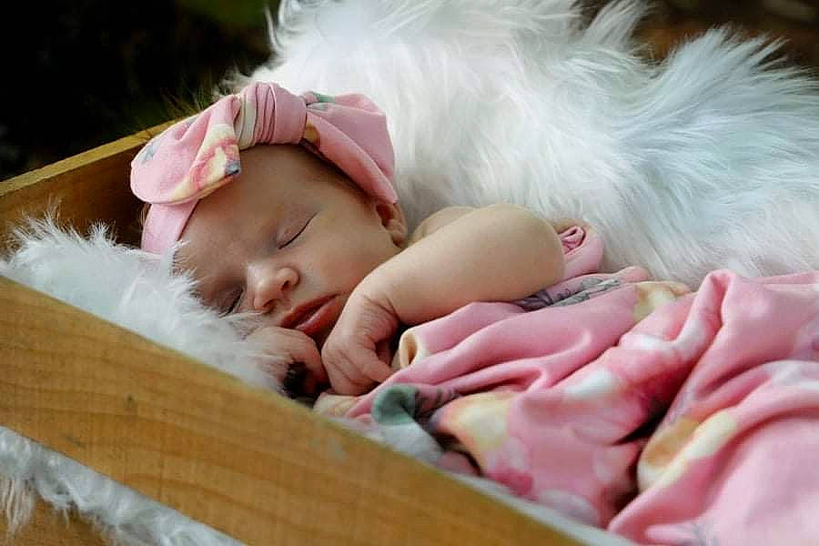 Dolly joined the competition — help win amazing prizes! baby, baby_toddler_clothing, child, comfort, dress, eye, eyelash, fur, grass, happy, headband, headpiece, lip, nap, person, pink, portrait_photography, sitting, skin, toddler