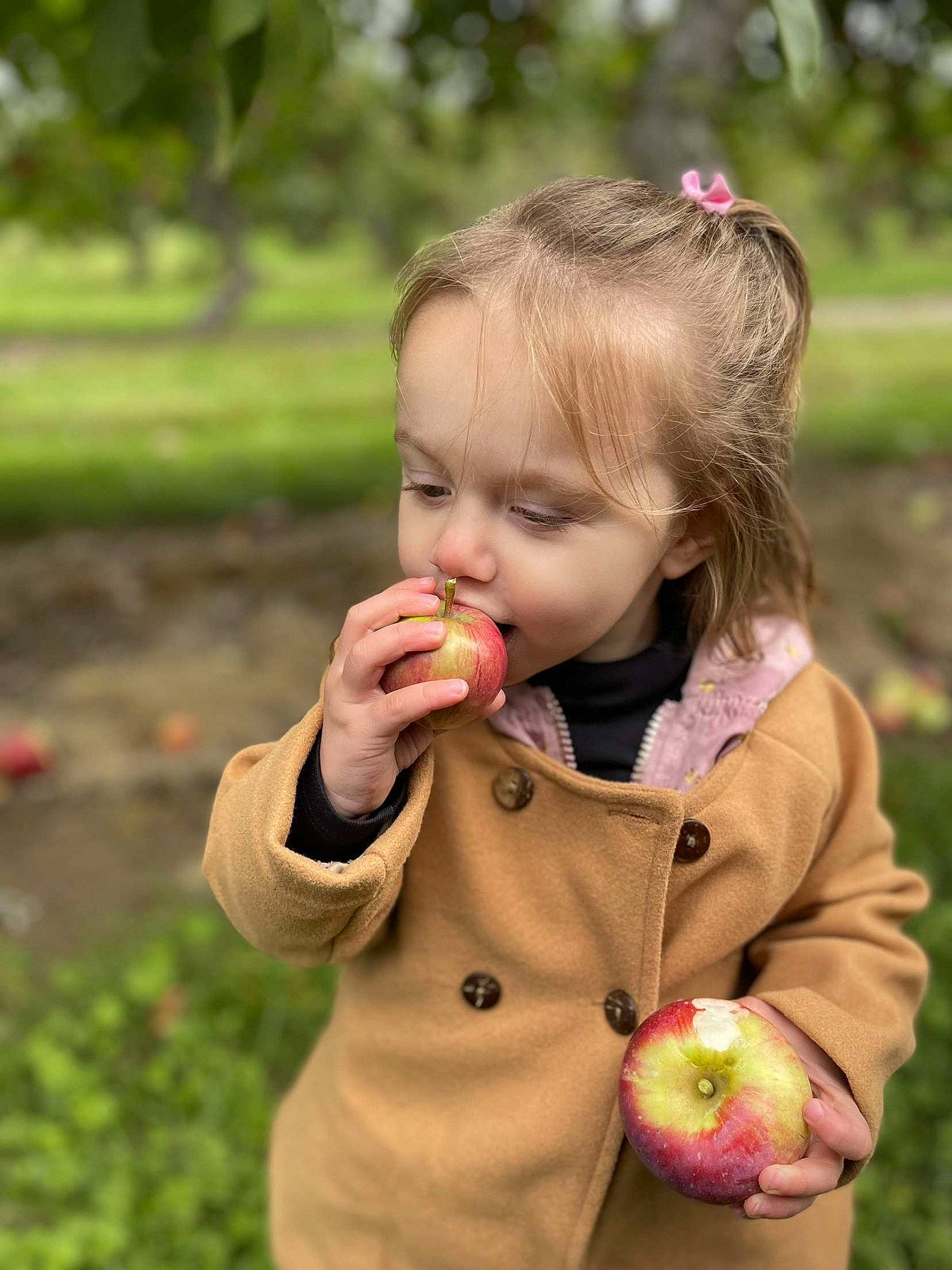 Lillian is registered to the contest to win money with this photo: arm, biting, botany, face, finger, food, fruit, gesture, grass, hand, happy, iris, lip, nose, people_in_nature, person, pink, plant, skin, toddler