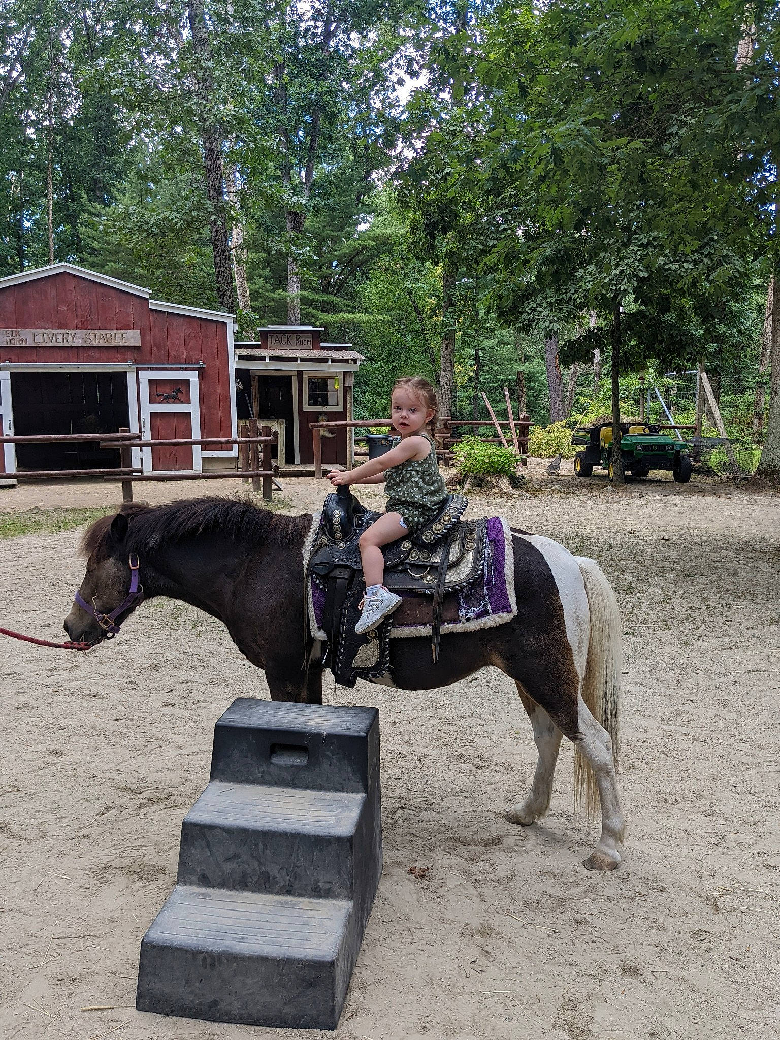 Lillian is registered to the contest to win money with this photo: animal_sports, bit, bridle, english_riding, equestrian, equestrian_sport, equestrianism, horse, horse_supplies, horse_tack, landscape, mammal, mane, pack_animal, person, plant, rein, saddle, tree, western_riding