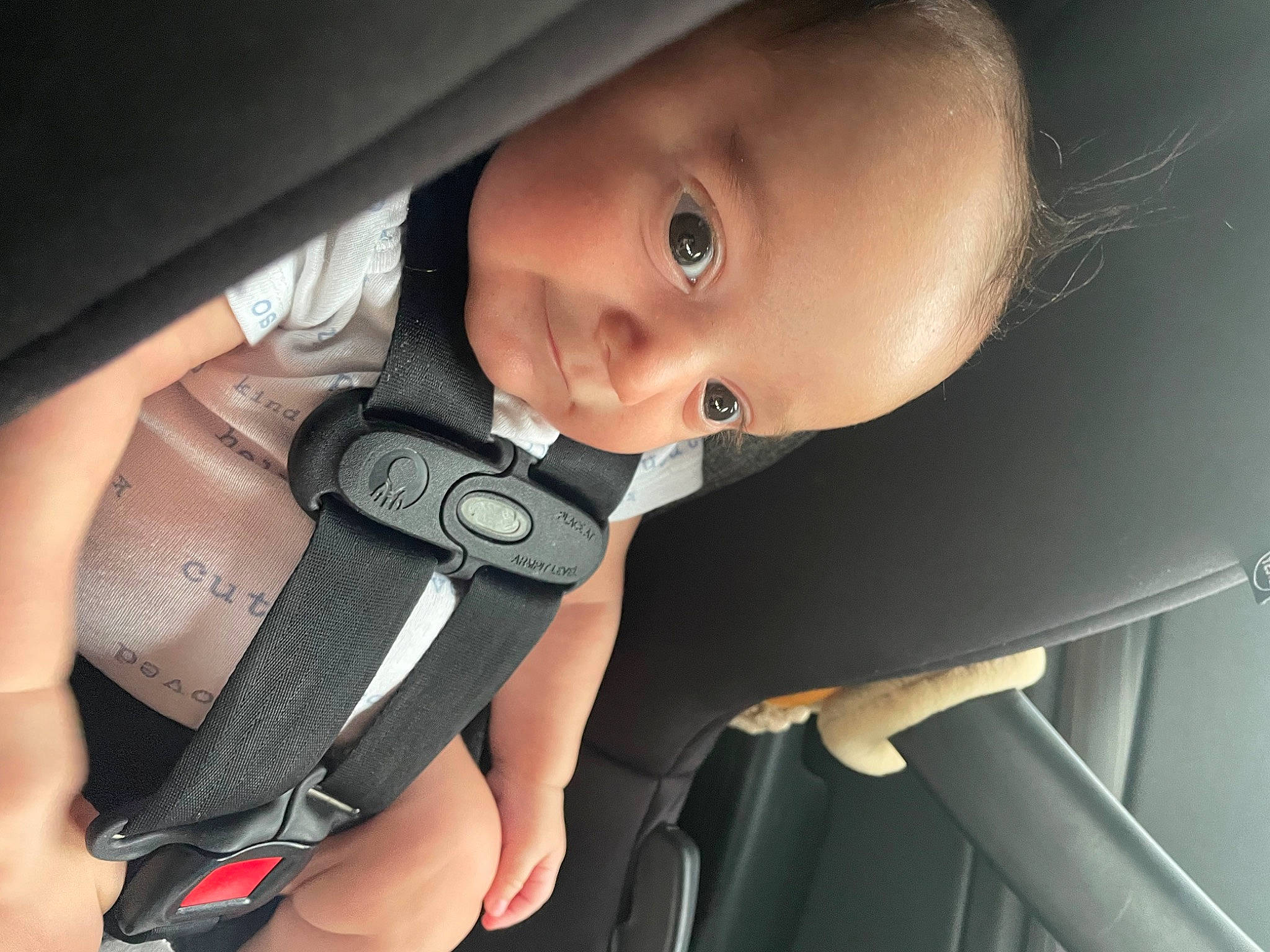 Cameron is registered to the contest to win money with this photo: auto_part, automotive_design, automotive_lighting, baby, baby_carriage, baby_products, black_hair, car_seat, child, comfort, elbow, flash_photography, iris, lip, nail, nose, person, seat_belt, skin, toddler