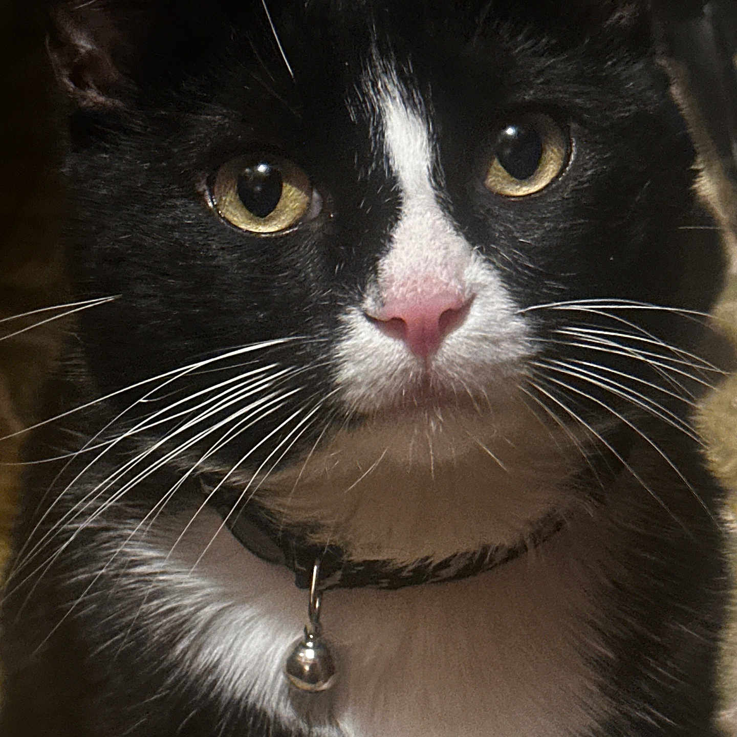 Salem