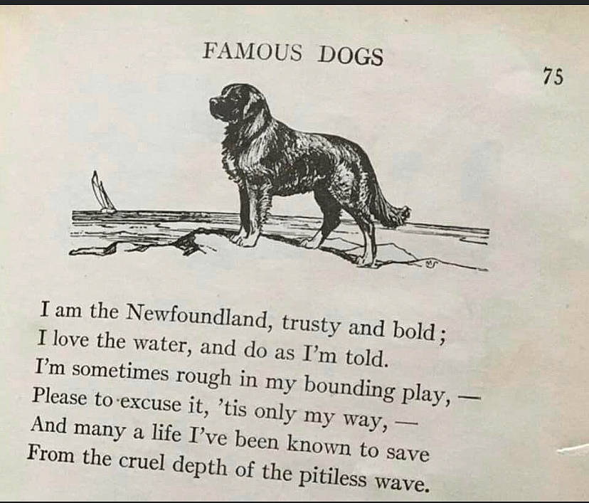 Dolly is registered to the contest to win money with this photo: ancient_dog_breeds, art, carnivore, claw, dog, dog_breed, drawing, extinction, font, illustration, line_art, painting, paper, sporting_group, tail, terrestrial_animal, wildlife