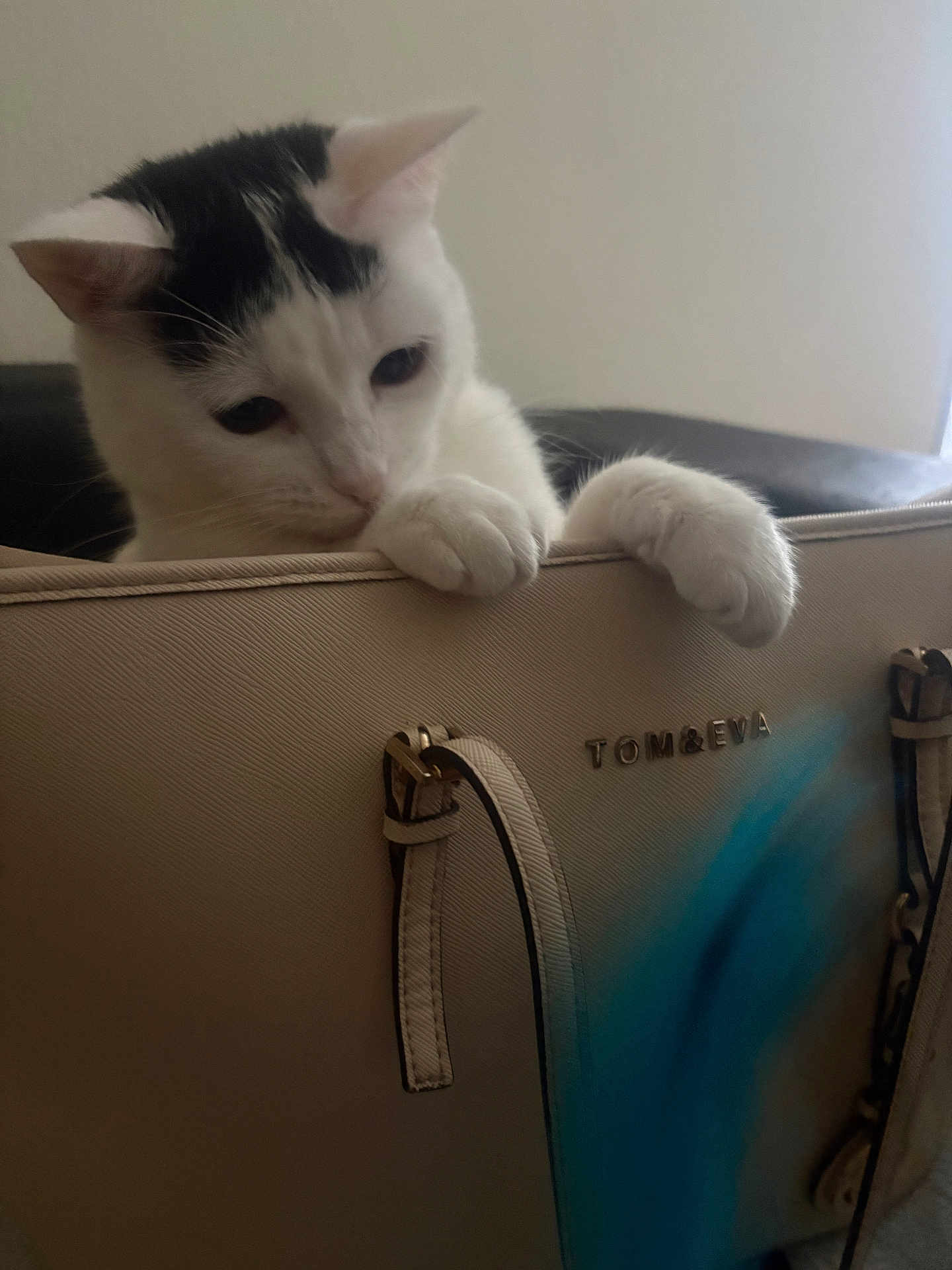 Nala