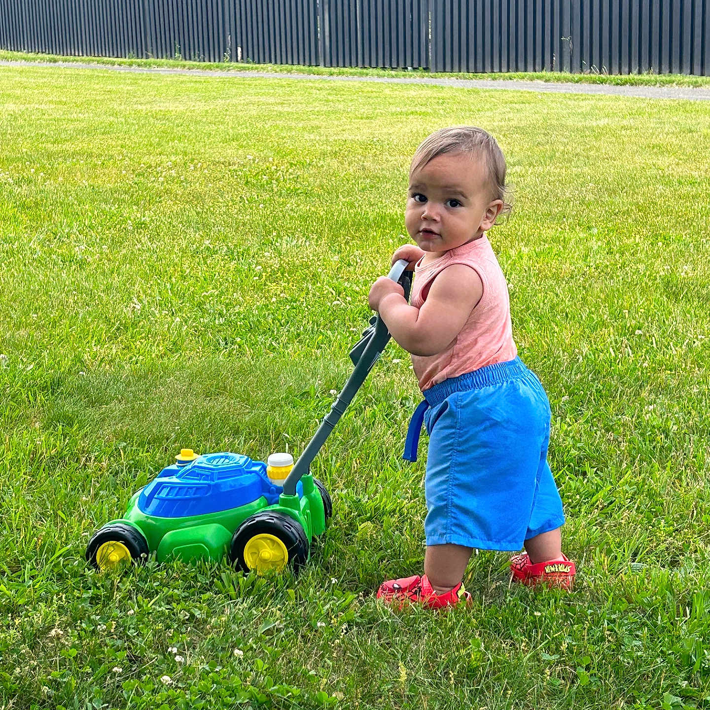 Isaac joined the competition — help win amazing prizes! backyard, child, clothing, device, face, female, girl, grass, head, lawn, lawnmower, nature, outdoors, person, photography, plant, portrait, shorts, tool, yard