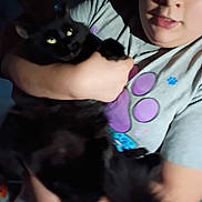 Donut joined the competition — help win amazing prizes! animal, black_cat, blurry, casual, cat, close_up, comfort, dim_light, domestic, expression, face, feline, holding, human, indoor, paw_print, person, pet, portrait, shirt