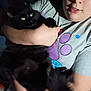animal, black_cat, blurry, casual, cat, close_up, comfort, dim_light, domestic, expression, face, feline, holding, human, indoor, paw_print, person, pet, portrait, shirt