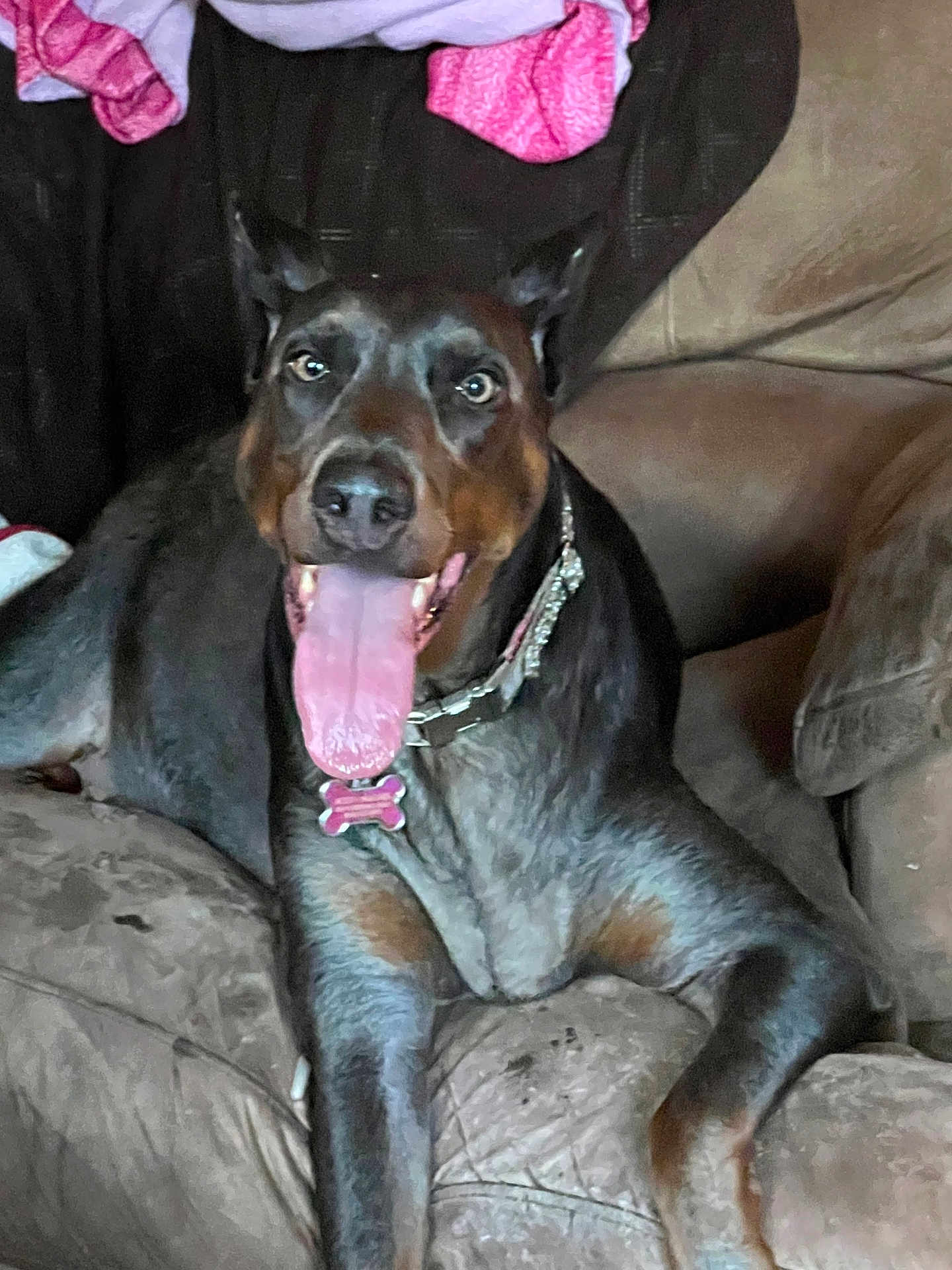 Lexi