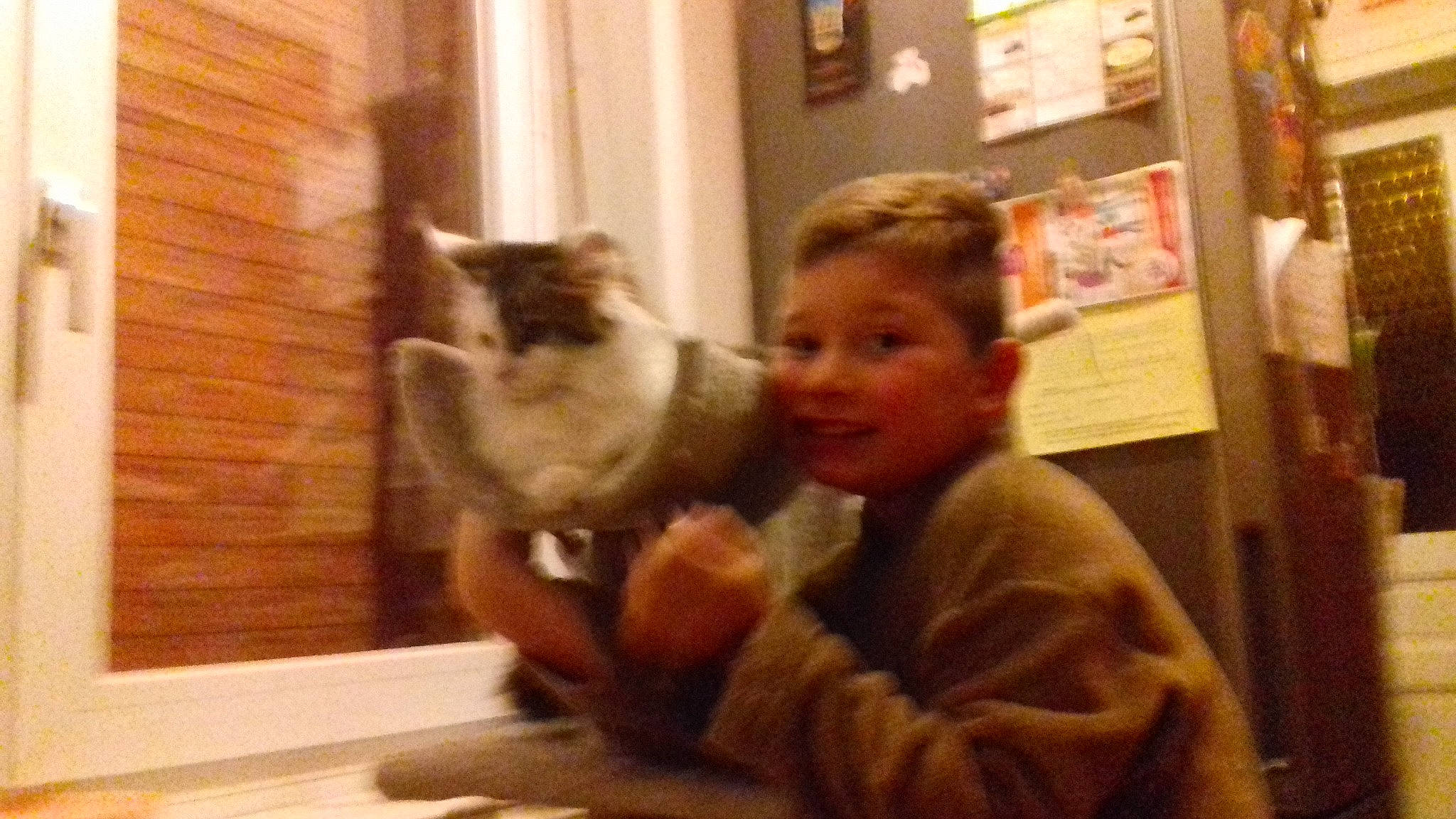 Maya participe au concours pour gagner de l'argent avec cette photo : carnivoran, cat, cat_like_mammal, fur, girl, kitten, mammal, person, room, small_to_medium_sized_cats, vertebrate, whiskers, window