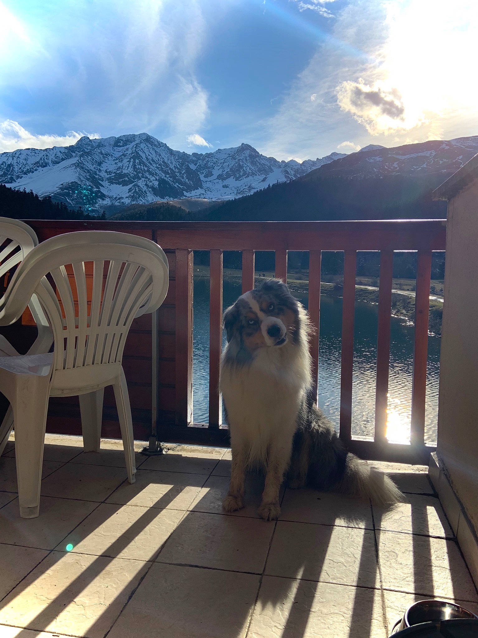Mooky a rejoint le concours — aidez-le/la à gagner de superbes lots ! cat, chair, cloud, daytime, deck, felidae, fence, hardwood, house, landscape, morning, mountain, outdoor_furniture, plant, porch, sky, small_to_medium_sized_cats, tree, white, wood