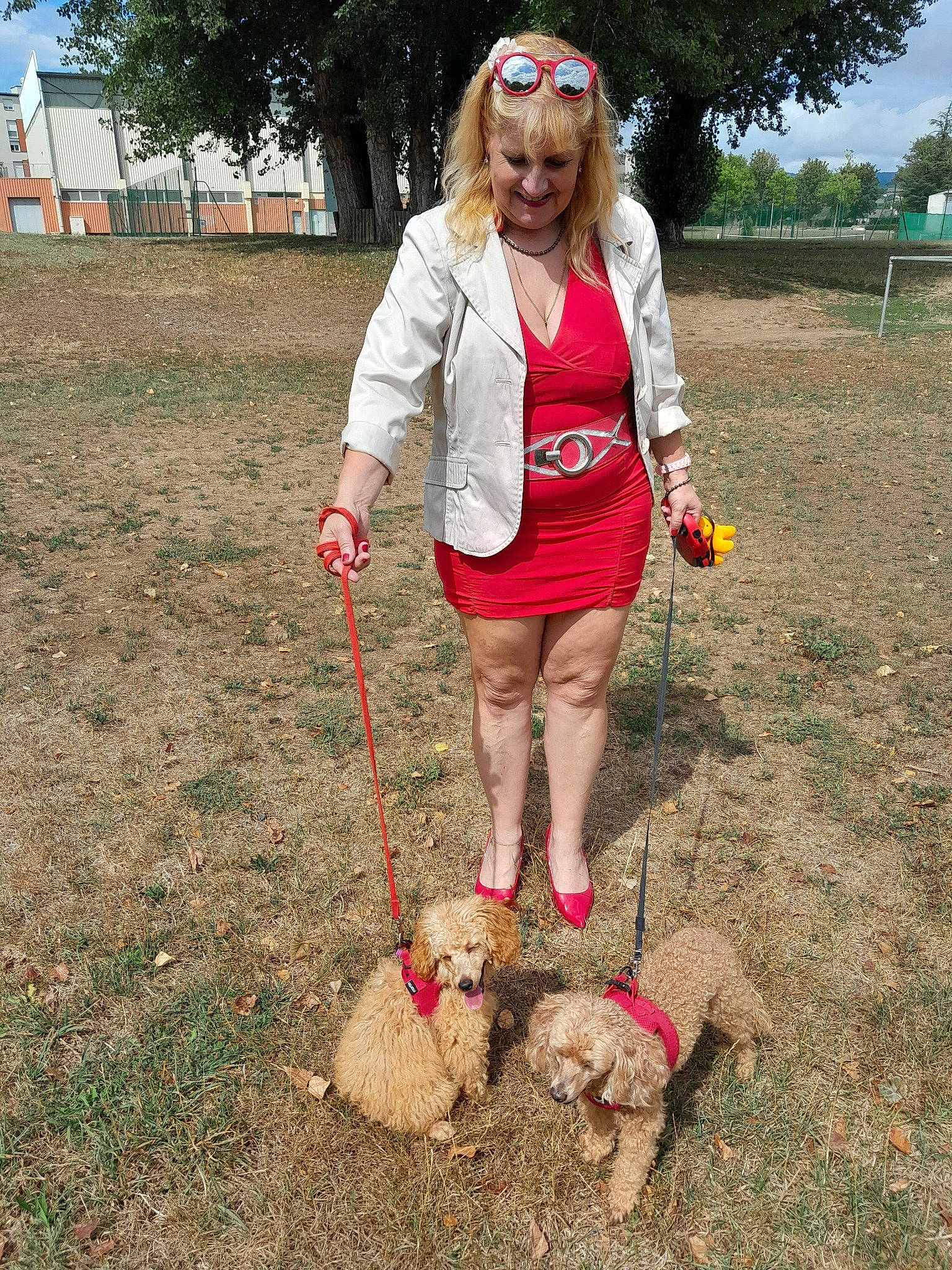 Choupette a rejoint le concours — aidez-le/la à gagner de superbes lots ! boot, canidae, carnivore, companion_dog, dog, dog_breed, fashion_accessory, fawn, grass, handbag, leash, leg, luggage_and_bags, people_in_nature, plant, recreation, sky, soil, tree, walking