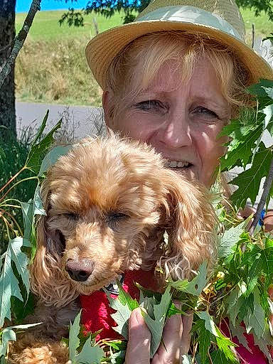 Choupette a rejoint le concours — aidez-le/la à gagner de superbes lots ! botany, canidae, carnivore, companion_dog, dog, dog_breed, fawn, fur, grass, hat, liver, plant, sporting_group, sun_hat, tree, walking, water_dog