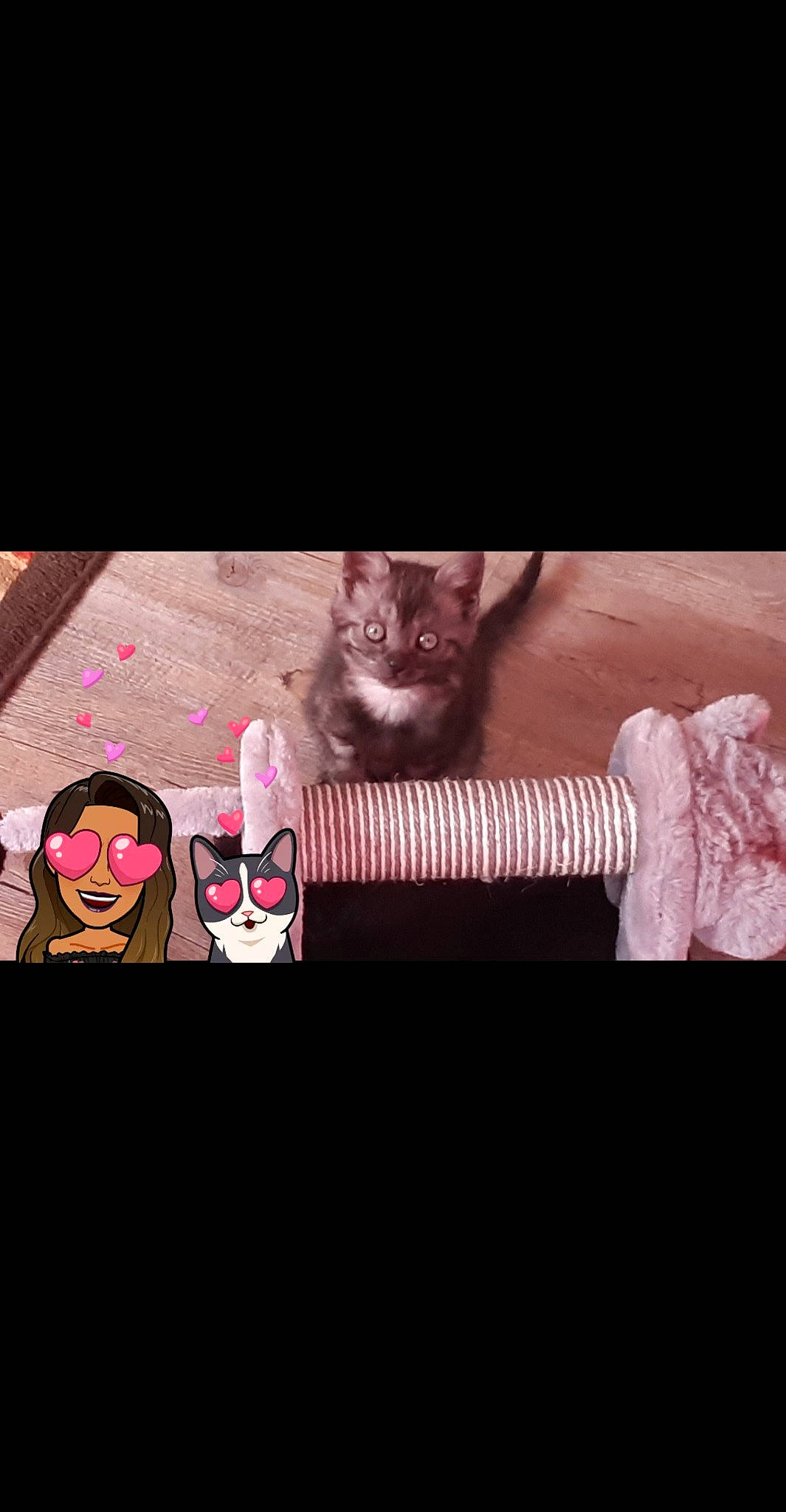 Cally participe au concours pour gagner de l'argent avec cette photo : fictional_character, flesh, font, illustration, photography, pink, square