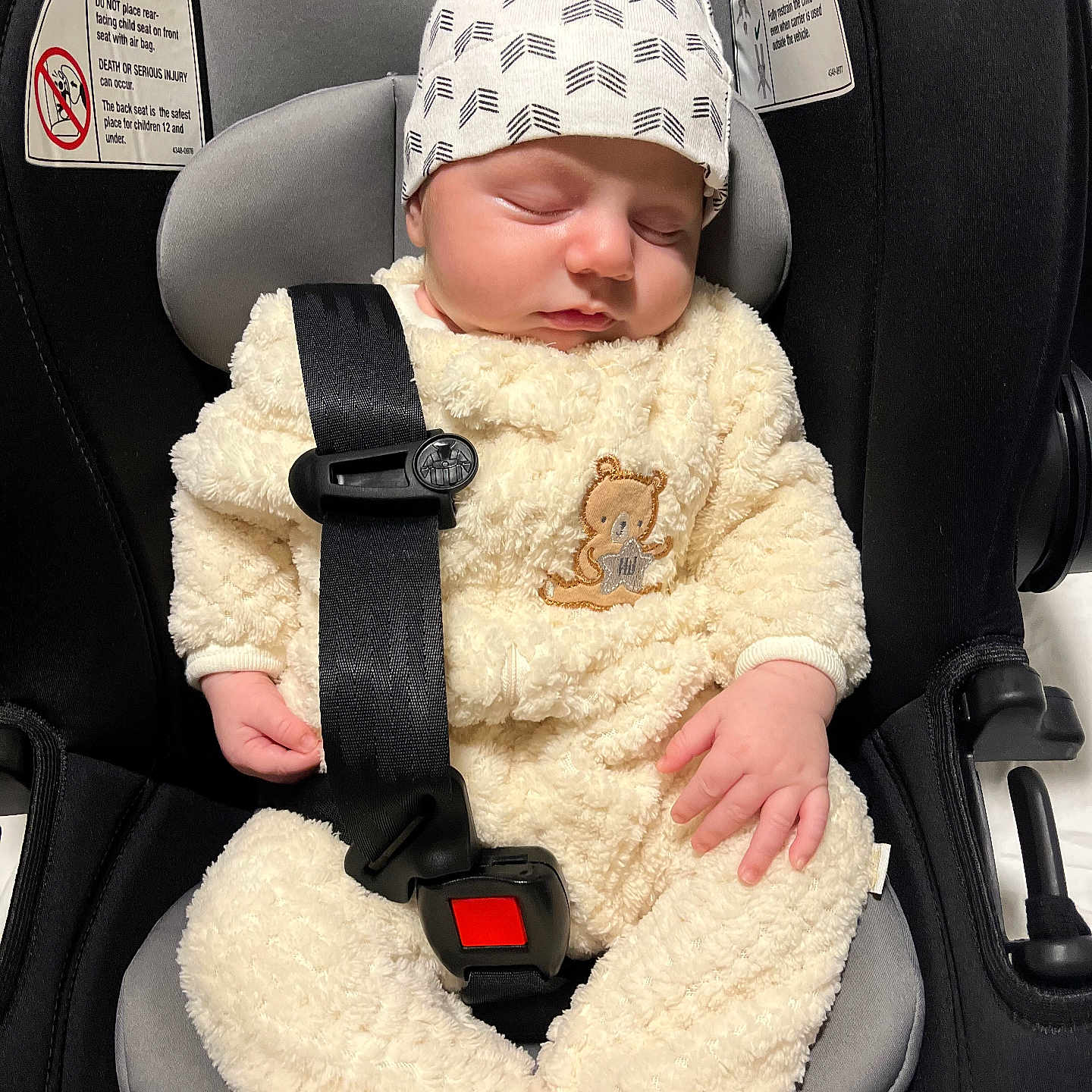 Eli joined the competition — help win amazing prizes! newborn, baby, sleeping, car_seat, infant, child, portrait, indoors, safety_harness, seatbelt, hat, onesie, fleece, cream_clothing, teddy_bear, vehicle, cozy, peaceful, resting, close_up