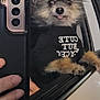 animal, black_shirt, car, casual, closeup, cute, dog, domestic_animal, fluffy, furry, hand, looking_out, mirror_selfie, pet, phone, portrait, reflection, tongue_out, vehicle, window