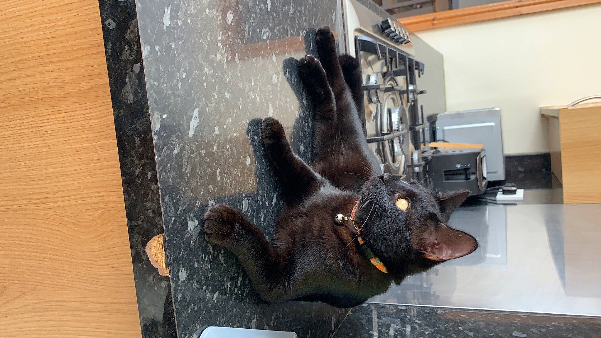 Marv is registered to the contest to win money with this photo: hand