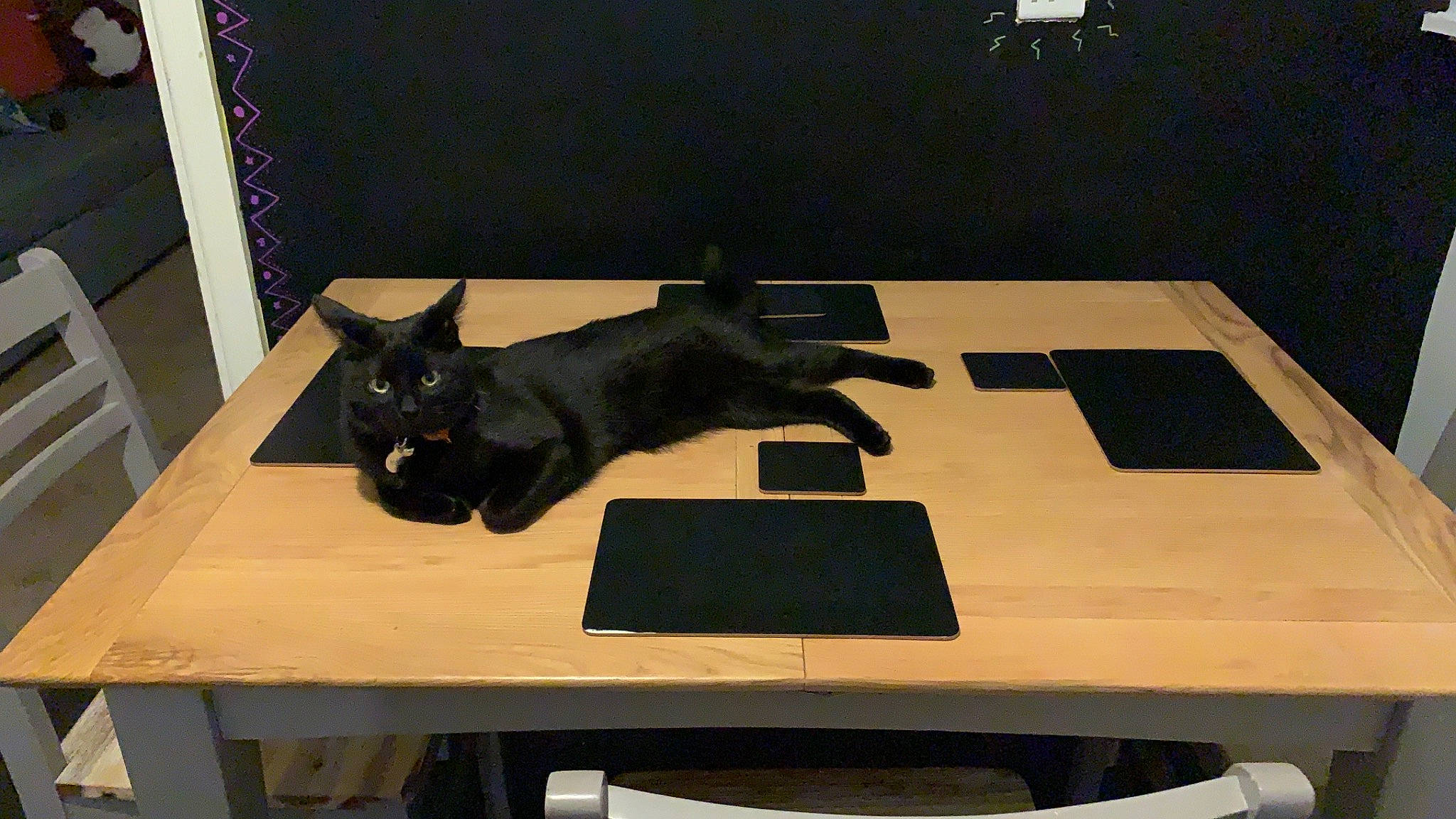 Marv joined the competition — help win amazing prizes! black_cat, carnivore, cat, desk, domestic_short_haired_cat, felidae, furniture, small_to_medium_sized_cats, table, whiskers