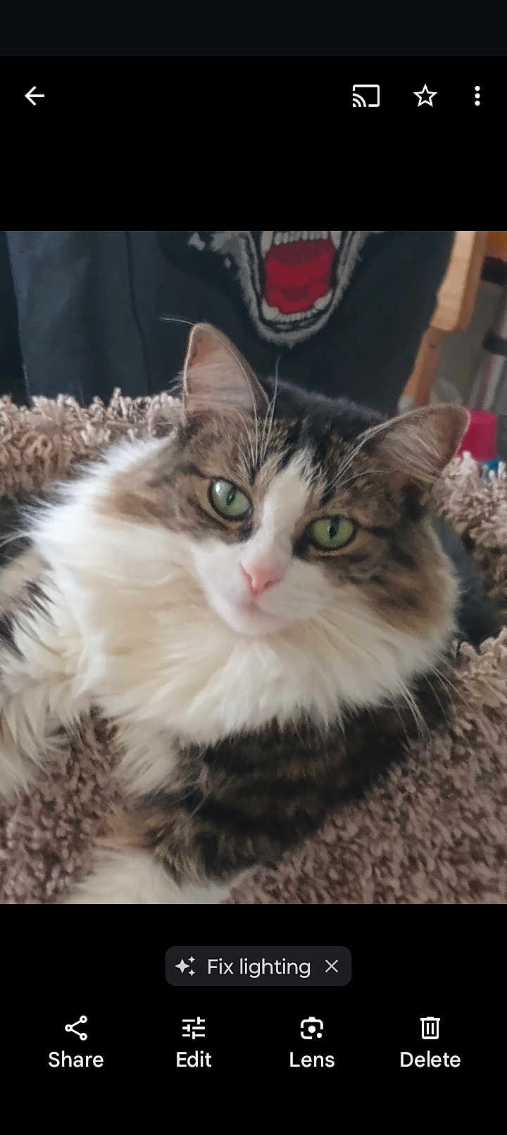 Indica