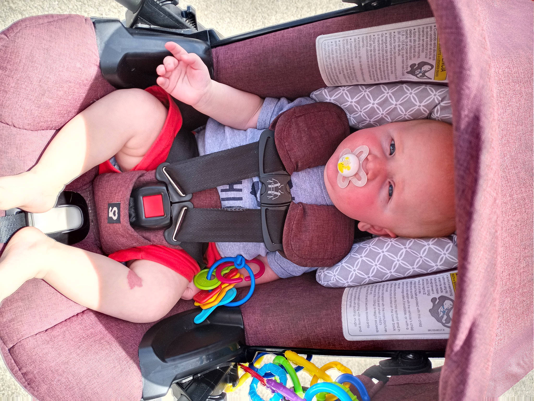 Koi is registered to the contest to win money with this photo: arm, baby, baby_carriage, baby_products, car_seat, chest, comfort, finger, human_leg, joint, lap, leg, mouth, muscle, nail, person, textile, thigh, toddler, trunk