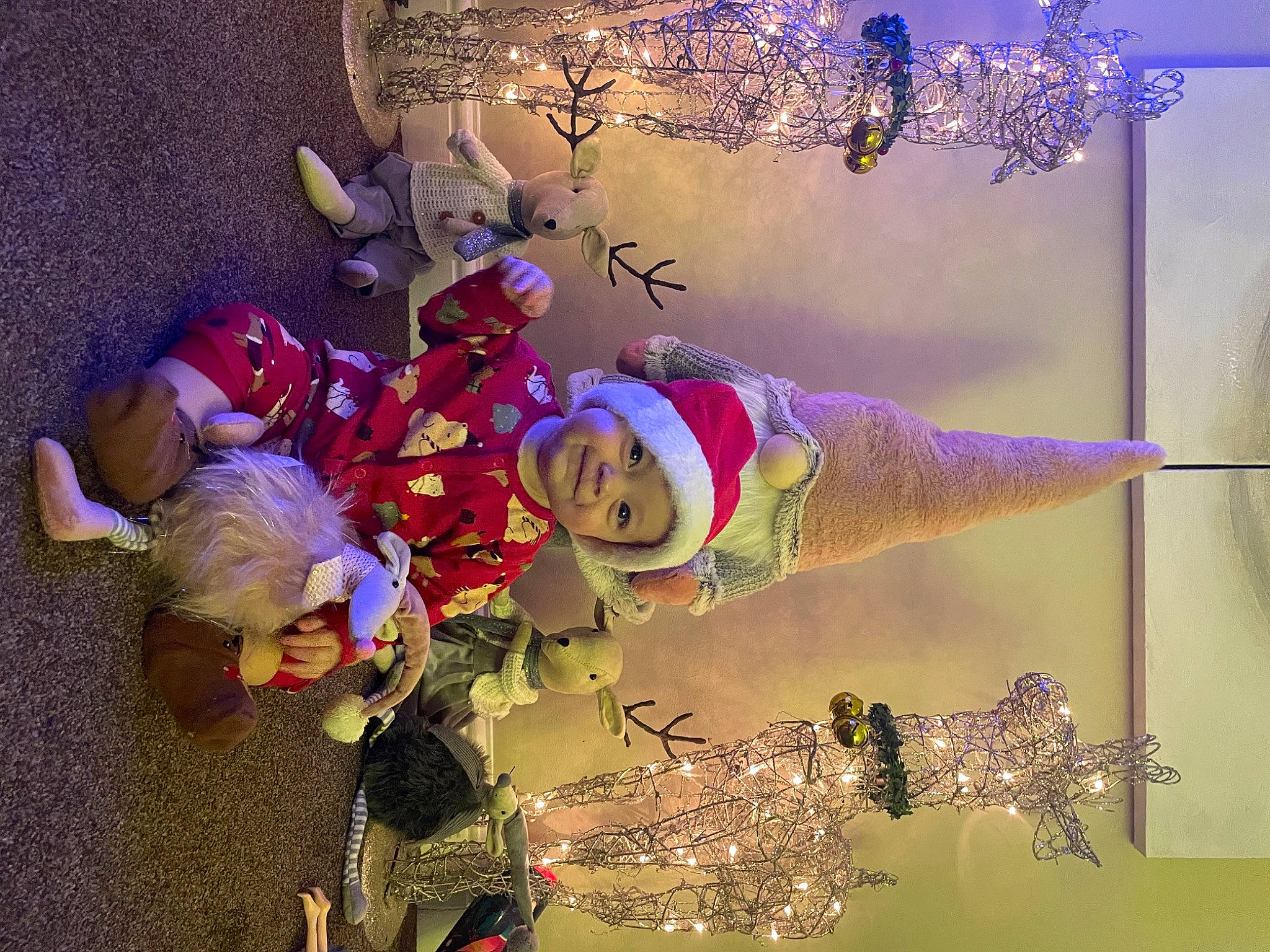 Darcy joined the competition — help win amazing prizes! art, christmas, christmas_decoration, christmas_eve, christmas_ornament, decoration, event, fictional_character, happy, headwear, holiday, holiday_ornament, joy, light, magenta, organism, ornament, person, pink, plant