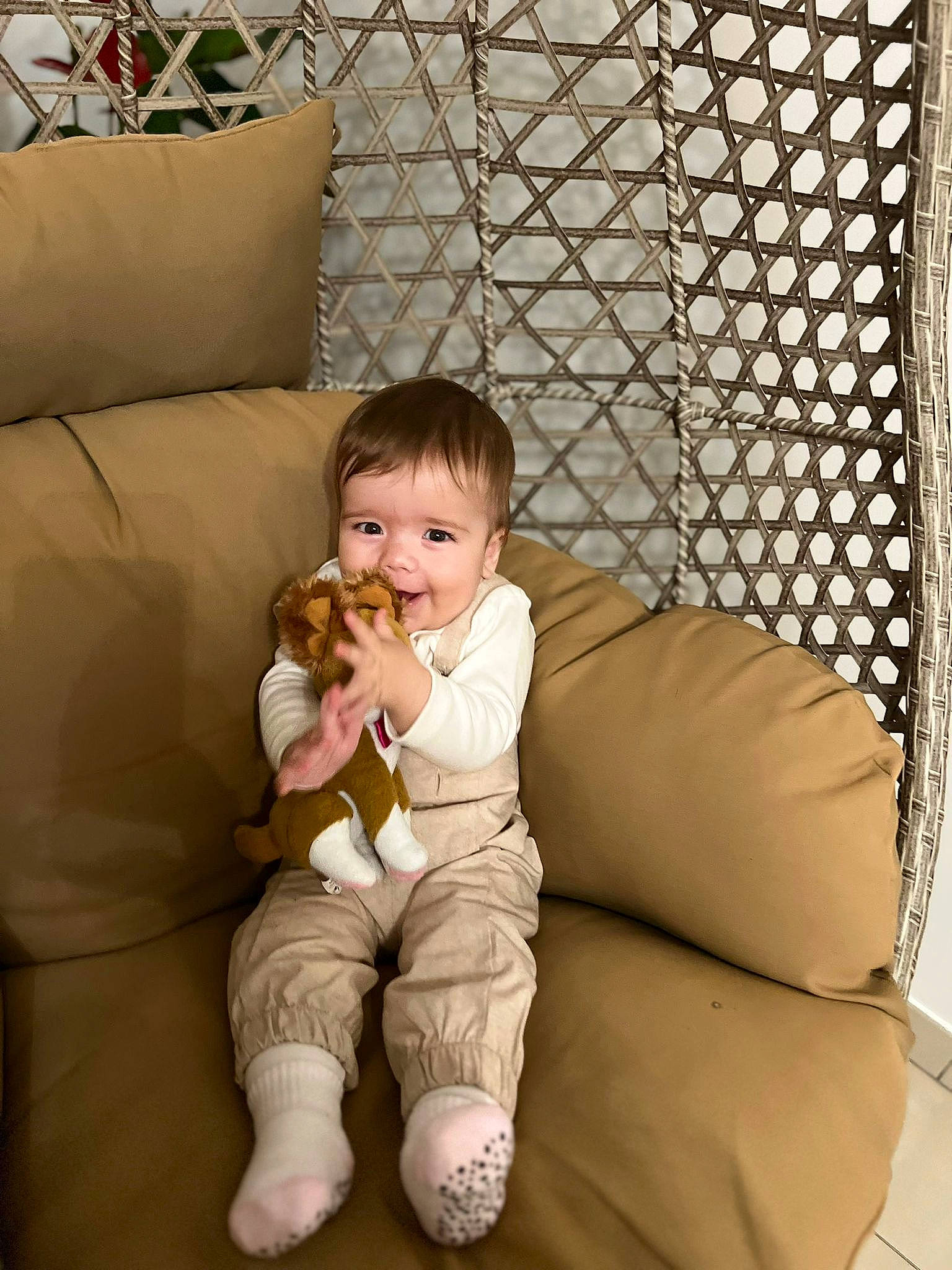 Sophia a rejoint le concours — aidez-le/la à gagner de superbes lots ! baby, barefoot, comfort, companion_dog, couch, face, fawn, flooring, foot, head, human_leg, joy, lap, living_room, mesh, person, room, sitting, smile, textile