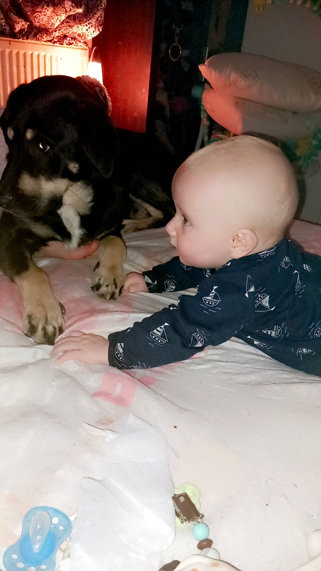 Lucenzo participe au concours pour gagner de l'argent avec cette photo : baby, baby_toddler_clothing, canidae, carnivore, child, comfort, companion_dog, dog, dog_breed, flooring, fun, fur, guard_dog, lap, person, room, sitting, skin, stuffed_toy, toddler