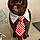 Teddy